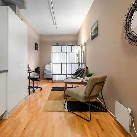 In Centre 公寓 特隆赫姆